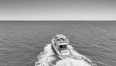 Cheers For Sale image60