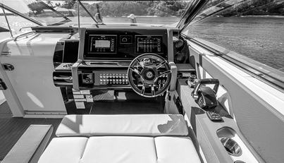 LICENSE TO CHILL For Sale image15