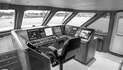 DOZER For Sale image19