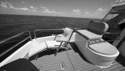 Southern Lady For Sale image10