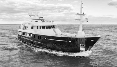 ZEXPLORER For Sale image35