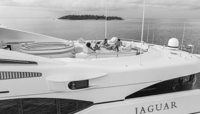 JAGUAR For Sale image48