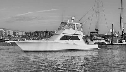 noname For Sale image2