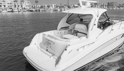 Sea-Rinity For Sale image4