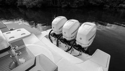 noname For Sale image14