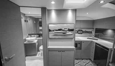 GRAYSKY V For Sale image41
