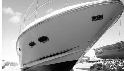 Fiddle Deedee For Sale image4