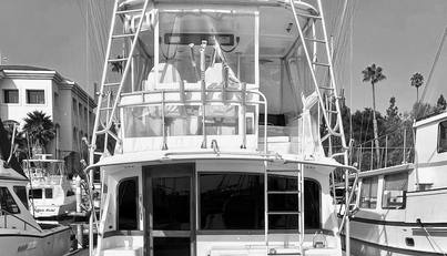 Aqua Ma'am For Sale image5