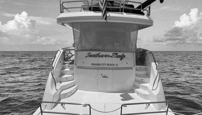 Southern Lady For Sale image6