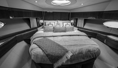 Enzo For Sale image93