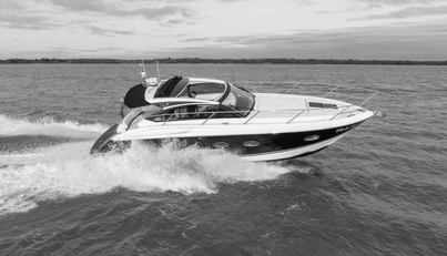 Viola III For Sale image1
