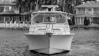 noname For Sale image3