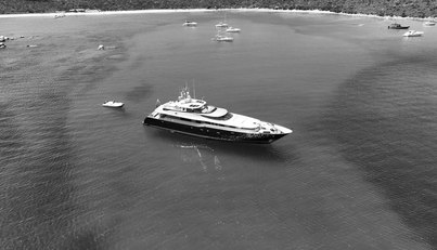 Ad Lib For Sale image25