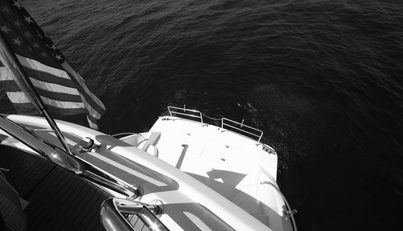 Southern Lady For Sale image21