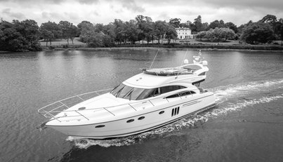 Enzo For Sale image15