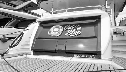 OUT OF THE BLUE For Sale image4