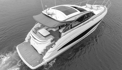 Seadoodle For Sale image32