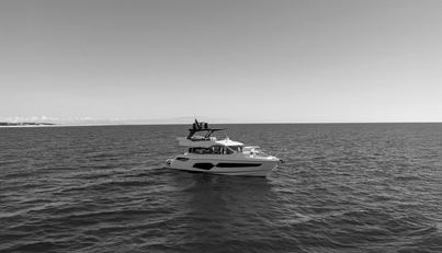 SNOWWHITE For Sale image4