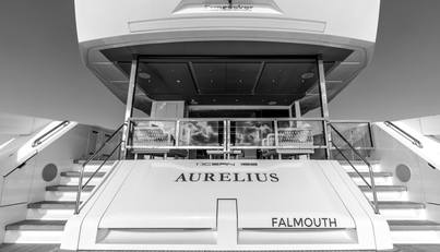 Aurelius For Sale image36