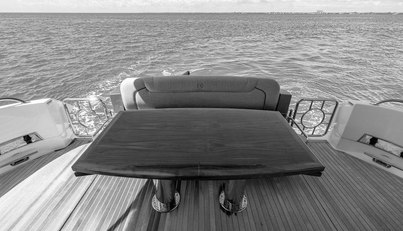 Bald Eagle For Sale image19