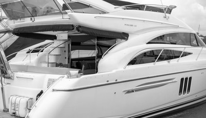 Enzo For Sale image16