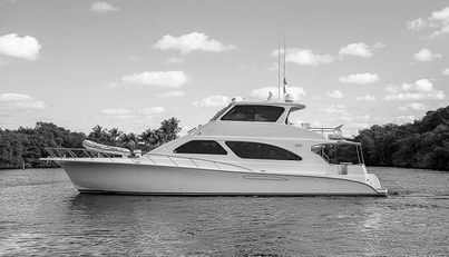 noname For Sale image9