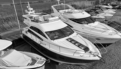 noname For Sale image1