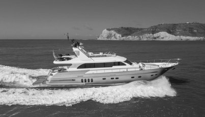 GYRFALCON For Sale image5