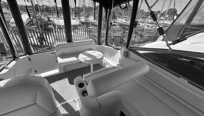 Mystique For Sale image15