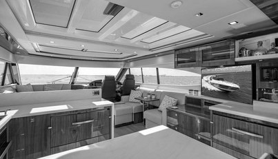 Bald Eagle For Sale image33