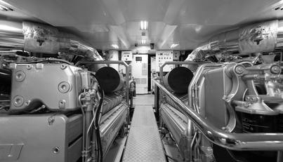 GOLDENEYE For Sale image32