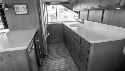 Gorilla Bowt For Sale image55