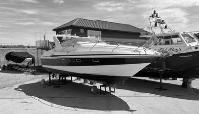 noname For Sale image1