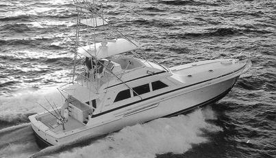 noname For Sale image1