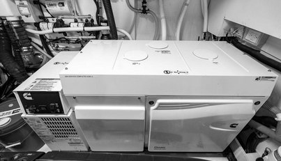 Bald Eagle For Sale image86