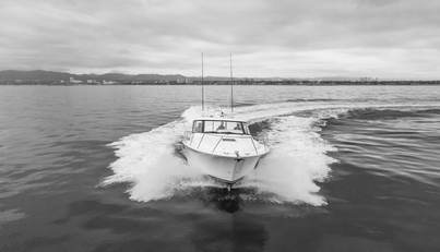 Commodore Two For Sale image8