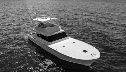 WILL RISE For Sale image4