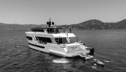 LADY LUNA For Sale image13