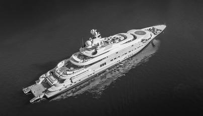 PELORUS For Sale image5