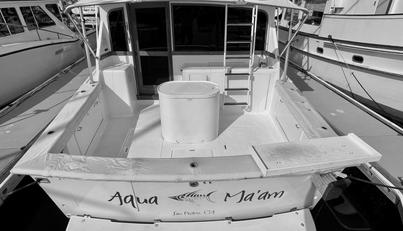 Aqua Ma'am For Sale image13