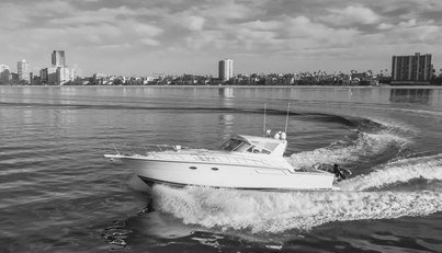 MISS MICHELLE For Sale image15