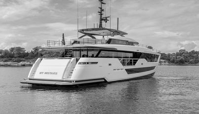 MY MISTAKE For Sale image5