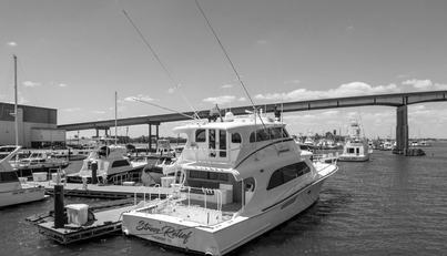 STRESS RELIEF For Sale image12