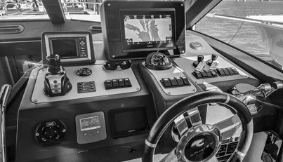 Rumble Bee For Sale image10