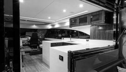 Greyhound For Sale image28