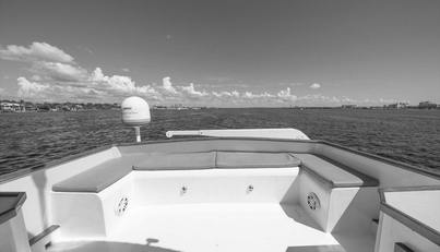 noname For Sale image26