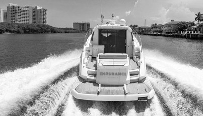 Endurance For Sale image3