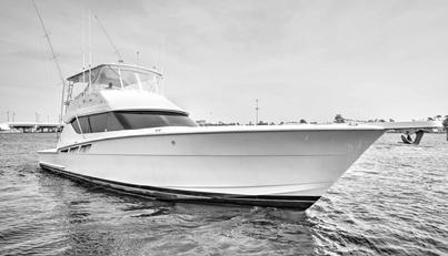 noname For Sale image2