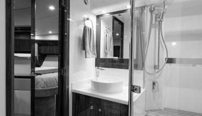 Greyhound For Sale image50