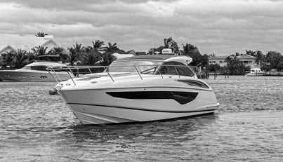 GRAYSKY V For Sale image2